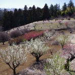 ちゃっぷの温泉・ハイキングブログ