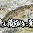 【フライフィッシング】分流も積極的に狙う！