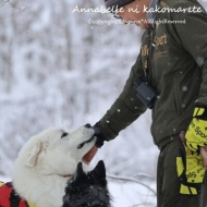 【日々の暮らし】オセロ撮影とこだわりと！