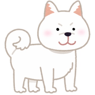 かんにゅー -韓国の反応-