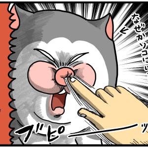 まめこ　ページ 7176CCtUYYL._UF350,350_QL50_.jpg