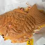 柴犬モコモコ日記