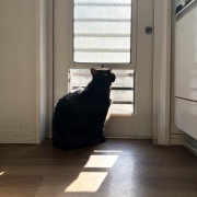 苦しそうな体勢で寝るアヤちゃん