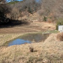 雨後の入山谷津①　３月３・４日