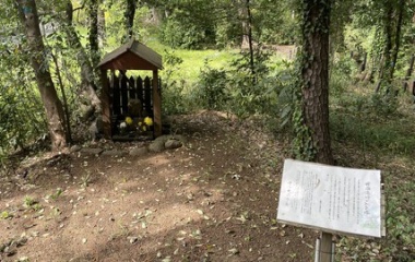 『2026/4/13　練馬区立 稲荷山公園 清水山の森を探索』の画像