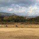 食物摂取量について悩む