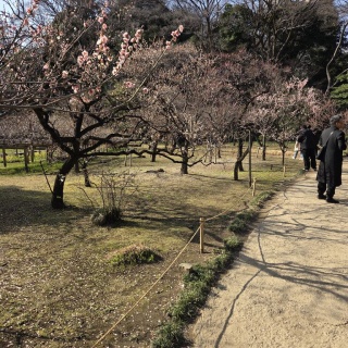 フランチャイズ地獄からの脱出  藤原義塾からの報告書