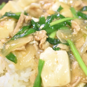 馴染みのある味♪豆腐と豚の和風あんかけ丼