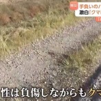 【悲報】猟友会のハンター(80)、クマの急襲に遭うも反撃して射殺