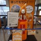 宇都宮に行った時の事２