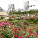 谷津バラ園