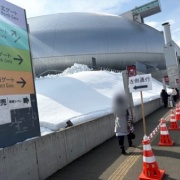 プレミストドームで見たアーティストのサイン