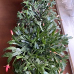 晴れ 時々 マーケティング