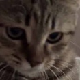 負けず嫌いの彼女とゲームをしてみた → 終わりません…