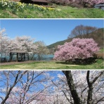 溝口未来プロジェクト