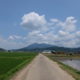 『仙郷林道』の画像