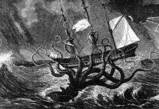 深海は宇宙よりも謎に満ちている！『絶対深海に超巨大生物いるよな』