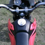 エロース（仮）