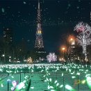 2025　SAPPORO WHITE ILLUMI