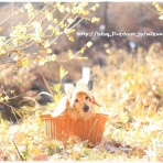 ☆みゅうと一緒☆