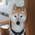 今日も今日とて…