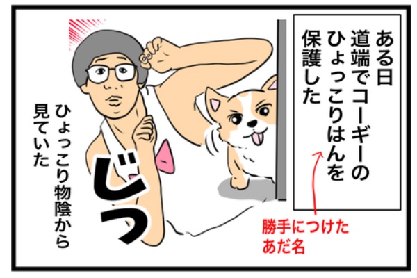 ちーちゃんっ🐾 - わんちゃんほんぽ