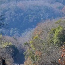 初冬の関西本線沿線に その４