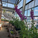 南坊園のブログ