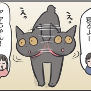 猫に好かれている夫と娘の戦い