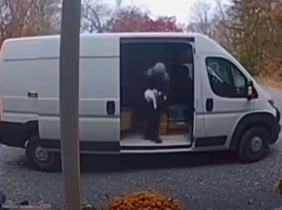 配達員を困らせる猫「箱がいっぱい！」何度追い出しても戻ってくる