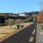 めざせ50代からサブ3、そしてその向こうへ