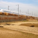 ホント、イエロー・マジック！