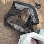 釣り筏　清福丸