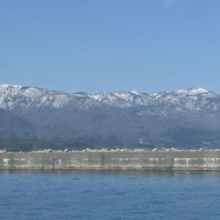 しない・させない・させられない