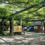 Ｌａ２４４～第２スタヂアム