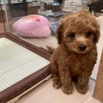 ワンラブ　カインズ広島LECT店のブログ