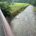 支流を見てきました