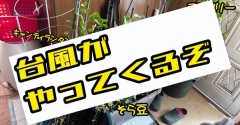 台風くるぞ。ママ大激怒の日。