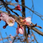 いのちの授業　鈴木中人