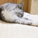 まさかまさか