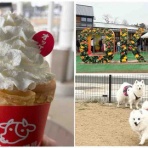 シェビーズのブログ