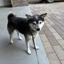 如月二日目の納豆ランチと命のスープ