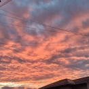 ９月の庭　少し涼しくなってきて、秋らしい花もちらちらと