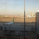 中文審計報告英譯服務（中文→英文）