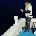 6月14日 近海半日SLJイサキ 早朝午前便
