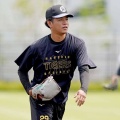 【激震】阪神9人ローテの正体がコレだ！巨人戦で独走態勢へ入る秘策とは
