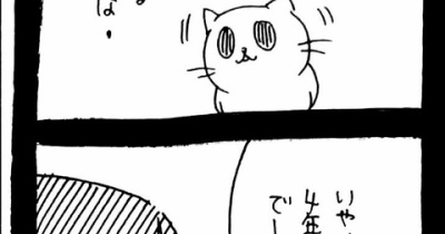 どうしても保護猫を迎えたかった知人の話7