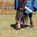 『今日の様子』の画像