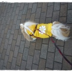 いつまでも一緒だよ♪