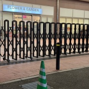 ＊根元がガッツリ枯れたカラーオブジュピターは助かるのだろうか⁈